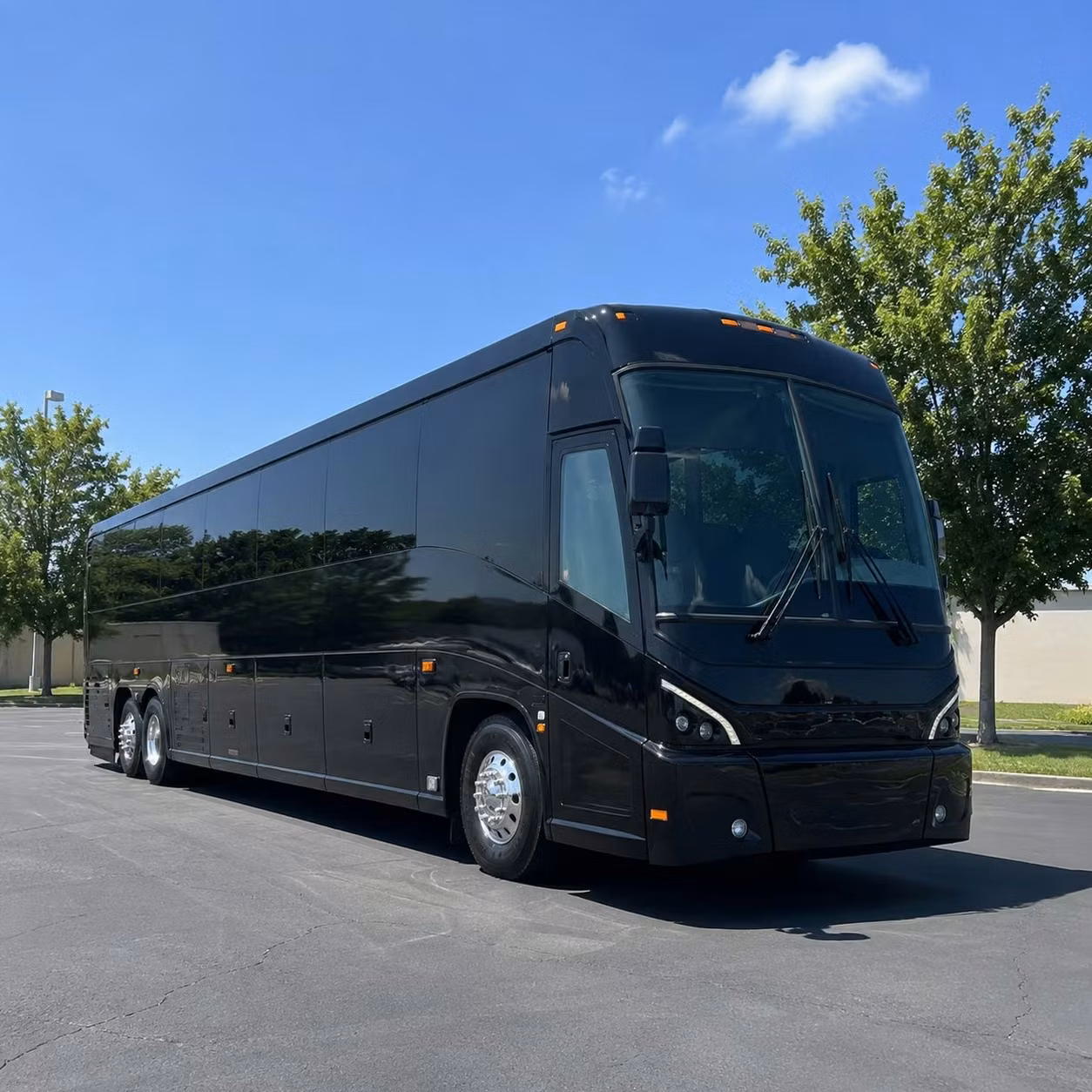 what to expect from a hialeah wedding charter bus experience